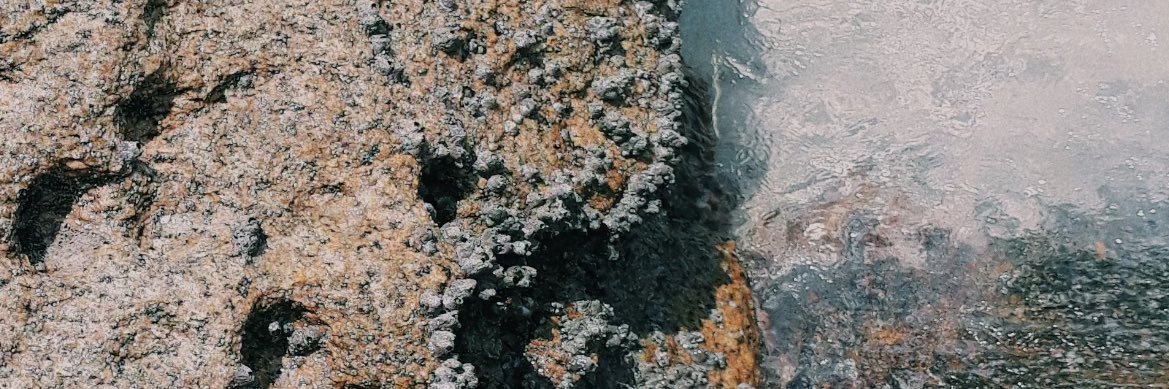 inesgallo's profile banner image