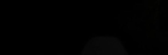𝗖𝗮𝗹𝗲𝗯 𝗪𝗶𝗹𝗹𝗶𝗮𝗺𝘀. banner
