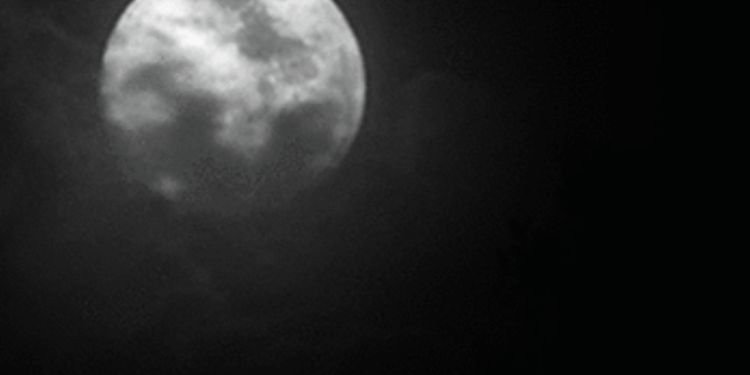 SummerMae141's profile banner image