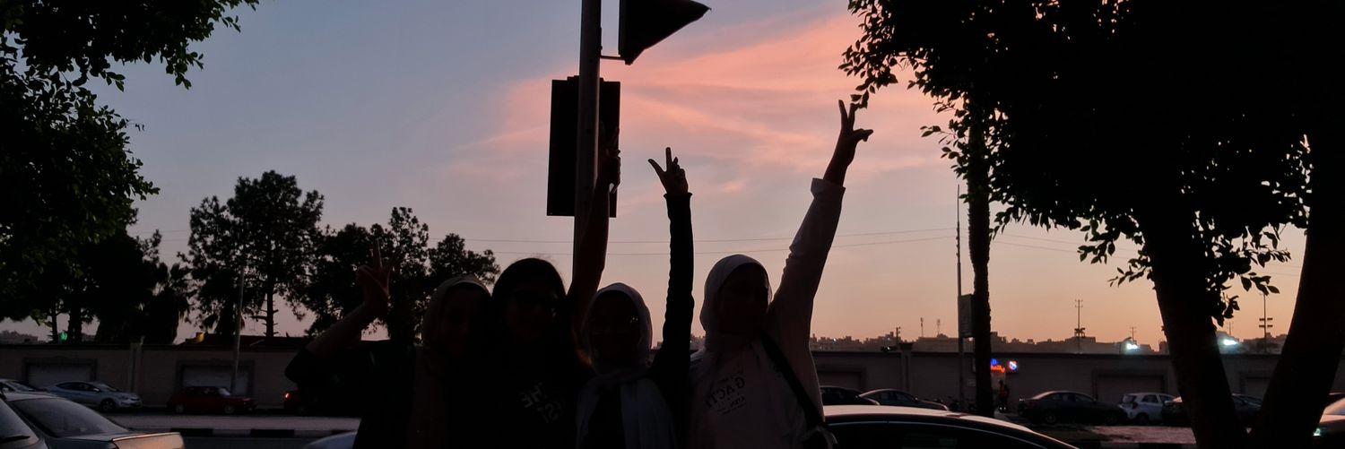 theturtlemarium's profile banner image