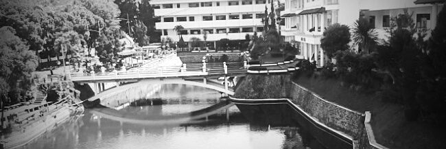 raray_la's profile banner image