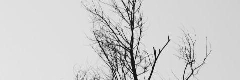 AnjelyDR's profile banner image