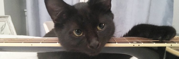 MeganErratic's profile banner image