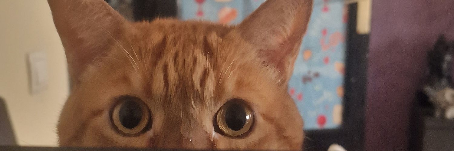 🐊 𝕮𝖍𝖎𝖈𝖆 𝕴𝖓𝖉𝖎𝖌𝖔 𓆙 banner