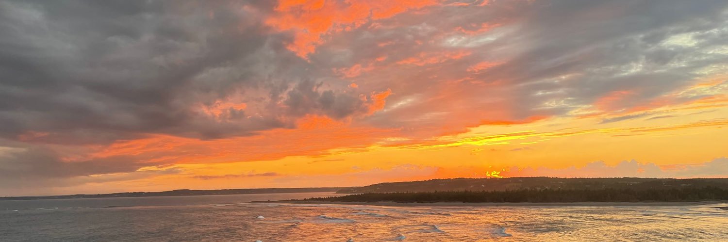 dlorigibson's profile banner image