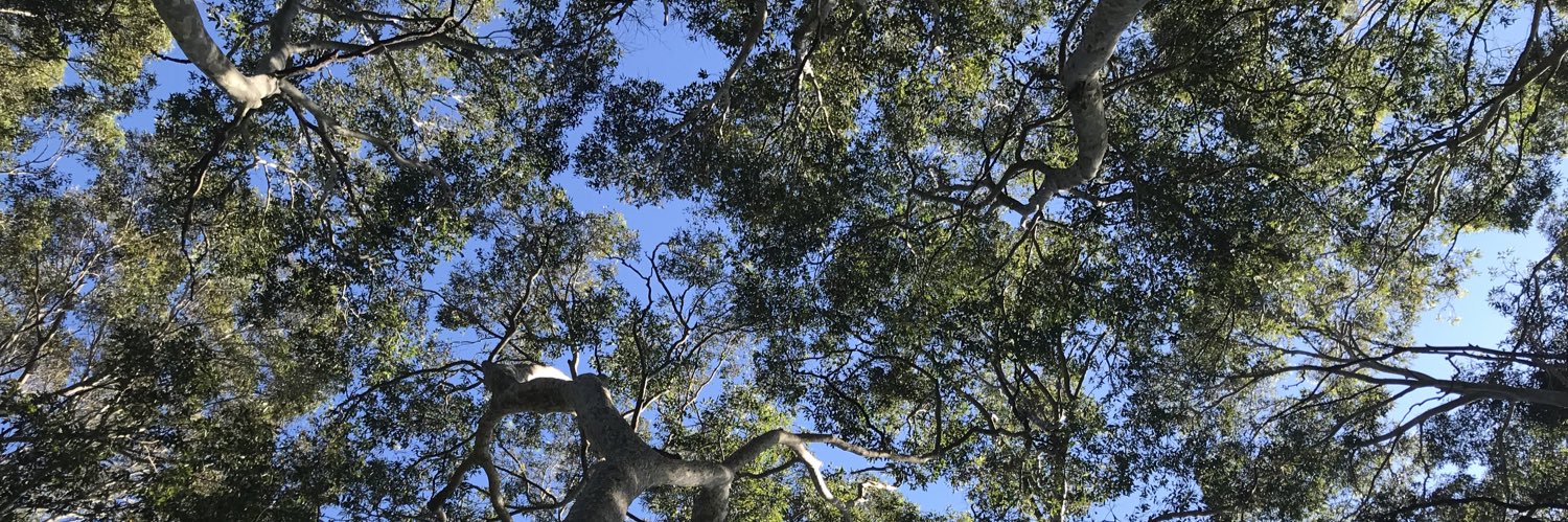 Kate Griffiths banner