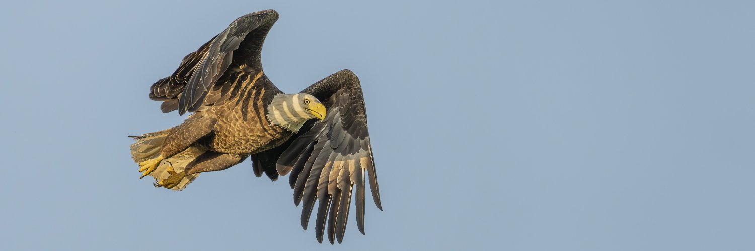 Puttaswamy Ravishankar banner