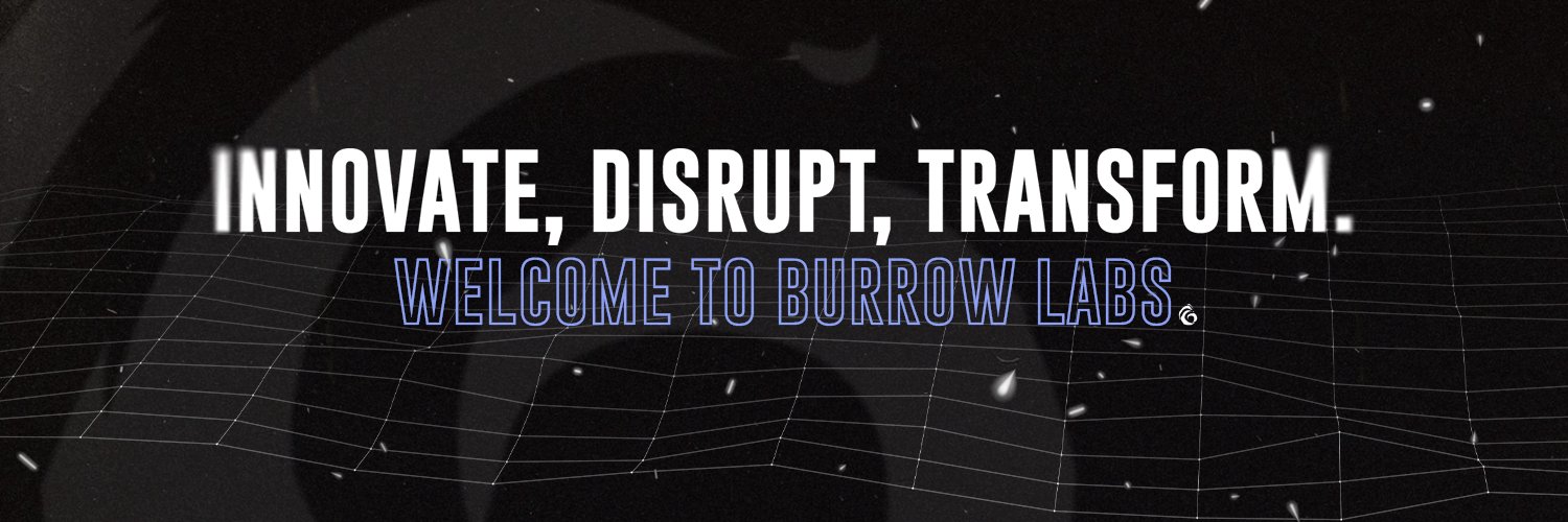Burrow Labs banner