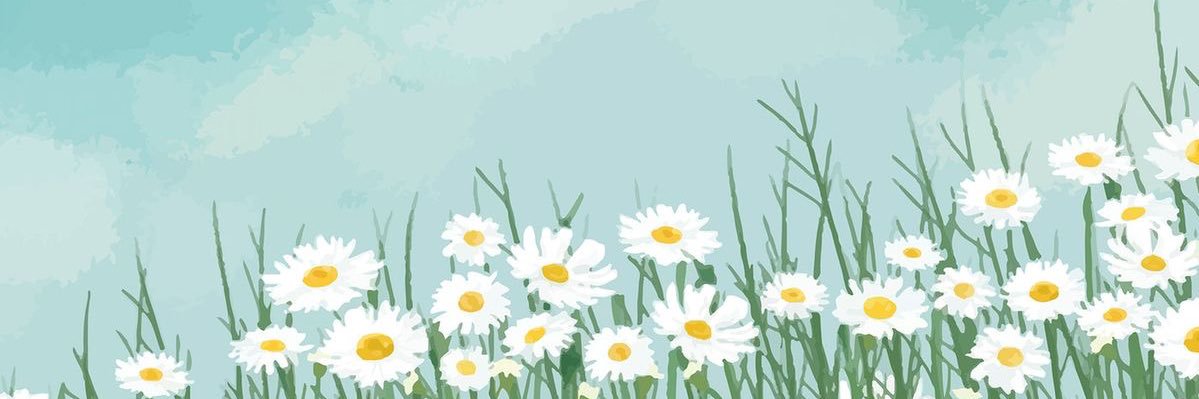Morabuay☀️🦋's banner