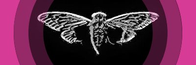 zmyth.eth✨ (💙,🧡)🐺🛡️📜🦇🔊 | ETHGas ⛽ banner