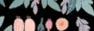 notmanray's profile banner image