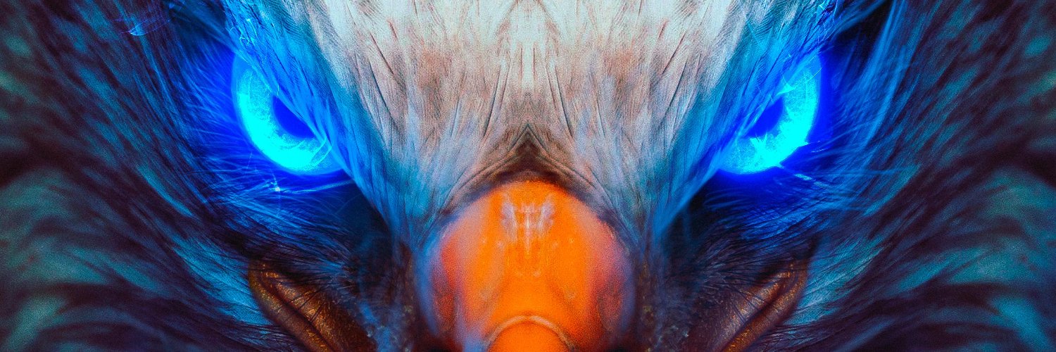 Rodrigo F.D.Lourenço banner