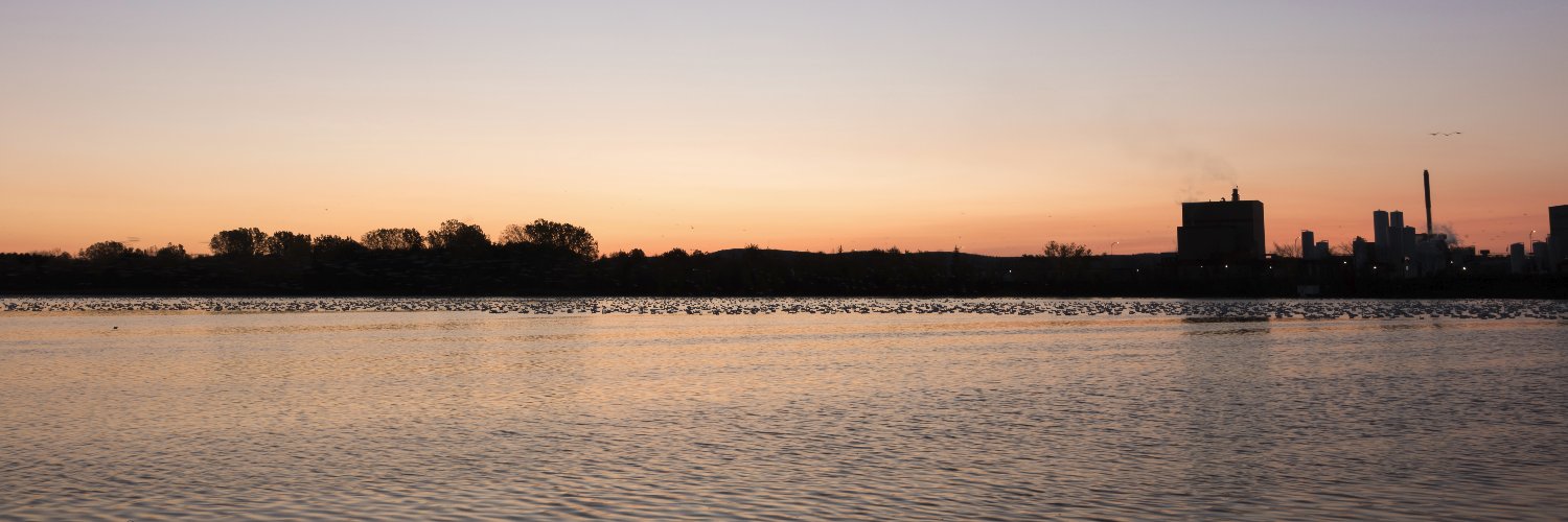 bilange's profile banner image