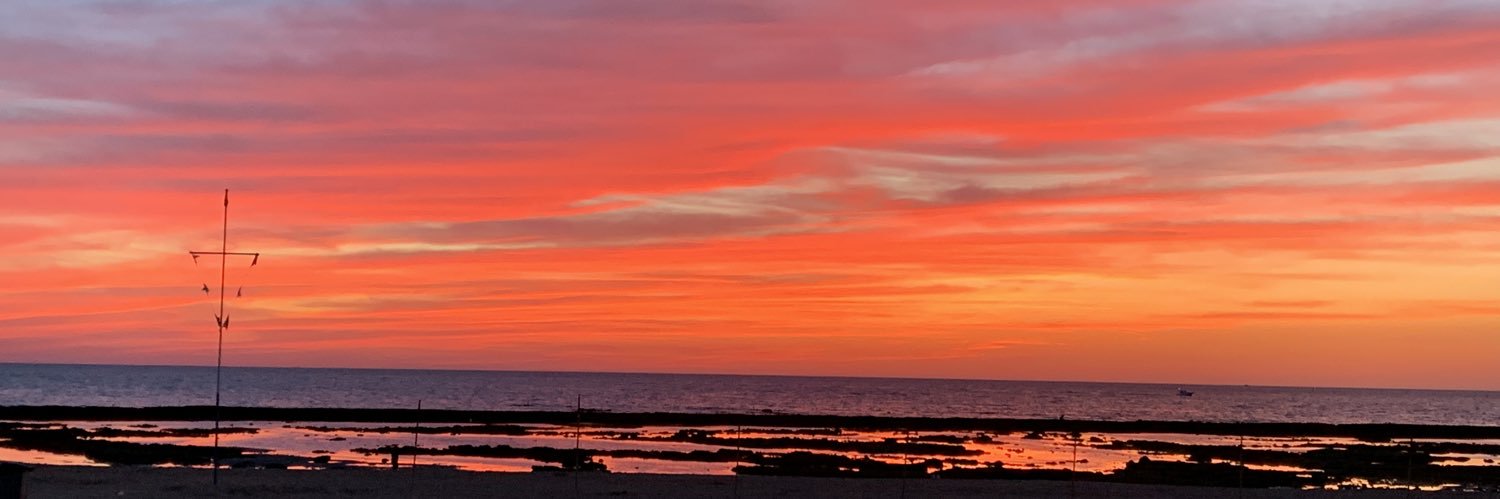 le soleil d’été 🌼 banner