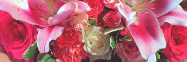 Paaet_cbs's profile banner image