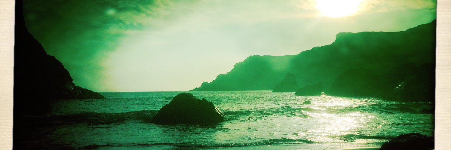 silverfoxdoc's profile banner image