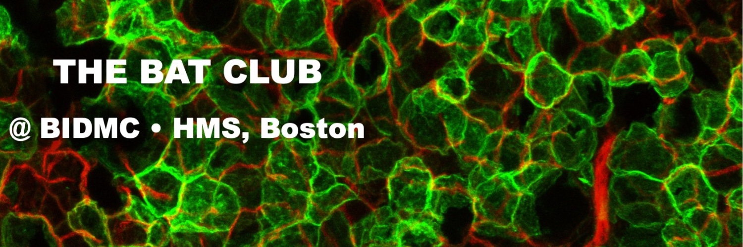 Shingo Kajimura Lab's banner