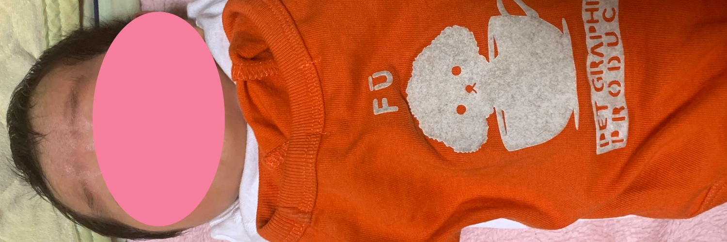 piyopiyodawan👶🐶ワンコ好き🐶2児のパパです✨ banner