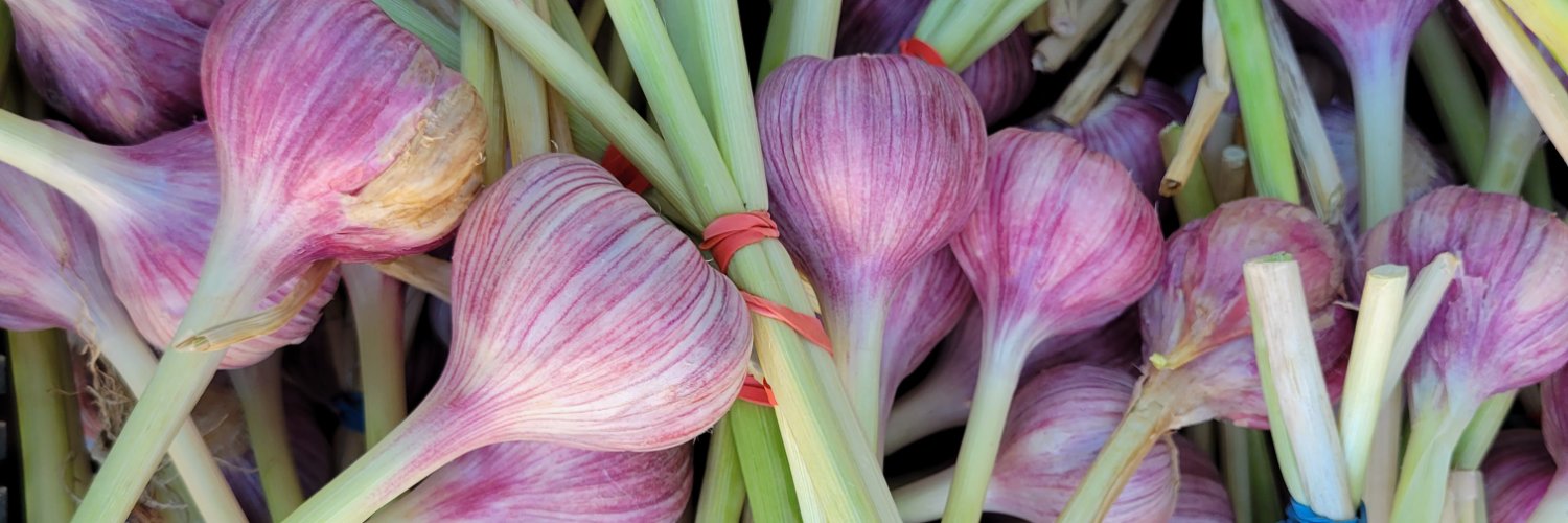 Dane Co Farmers' Mkt banner