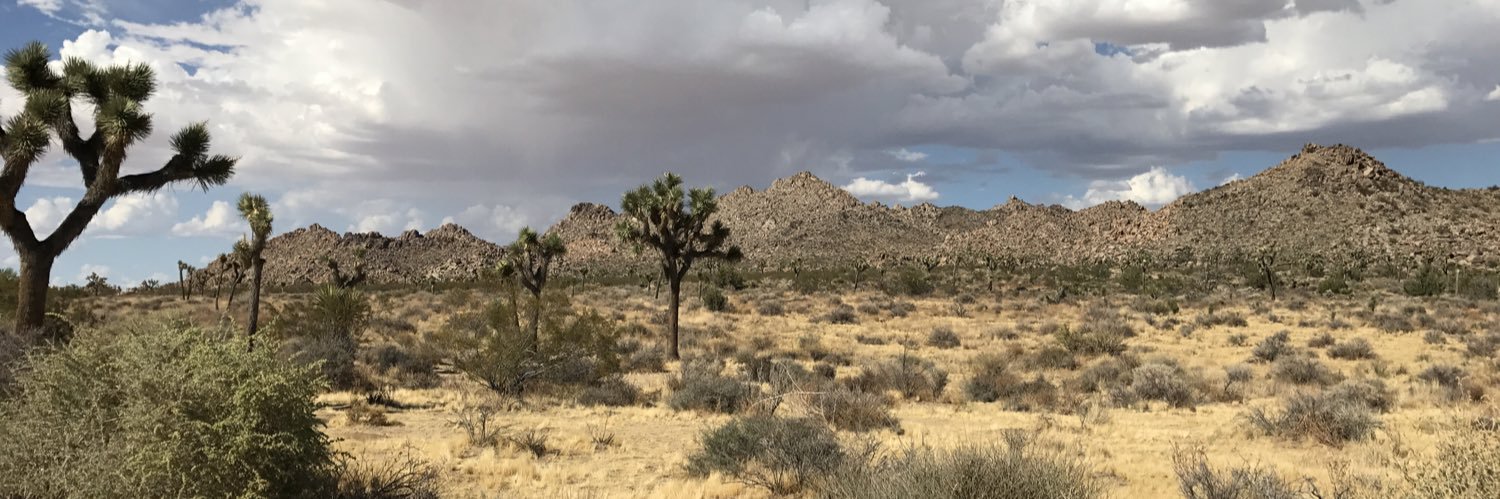 Gregg Siegfried banner