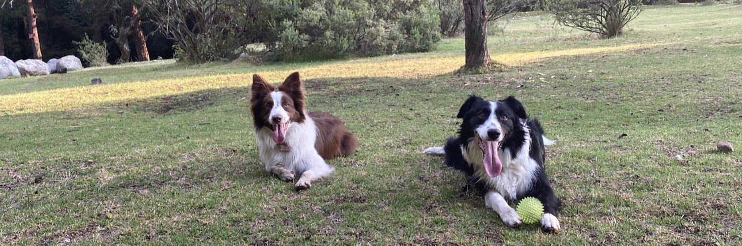 Eduardo Saracho banner