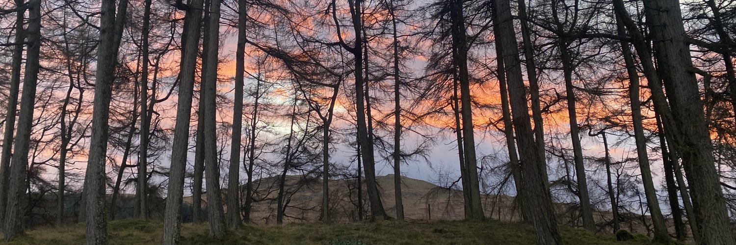 Communities For Diverse Forestry banner