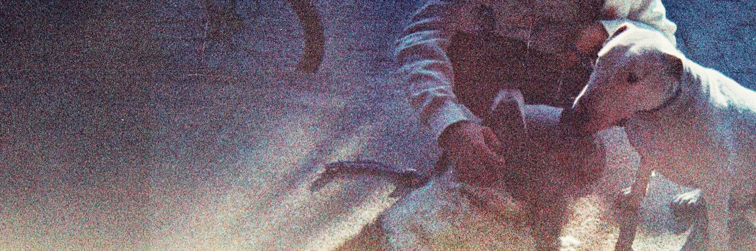 richicenteno's profile banner image