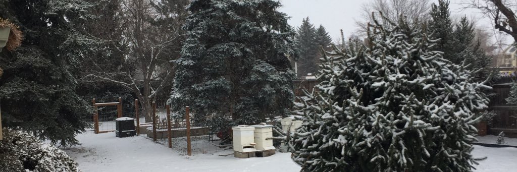 Trans Gone Robot 🏳️‍⚧️ banner