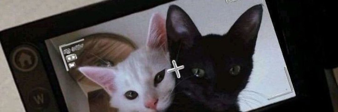 lmcmyk's profile banner image