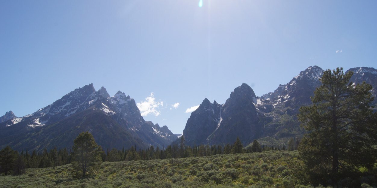 Christine Tomb banner