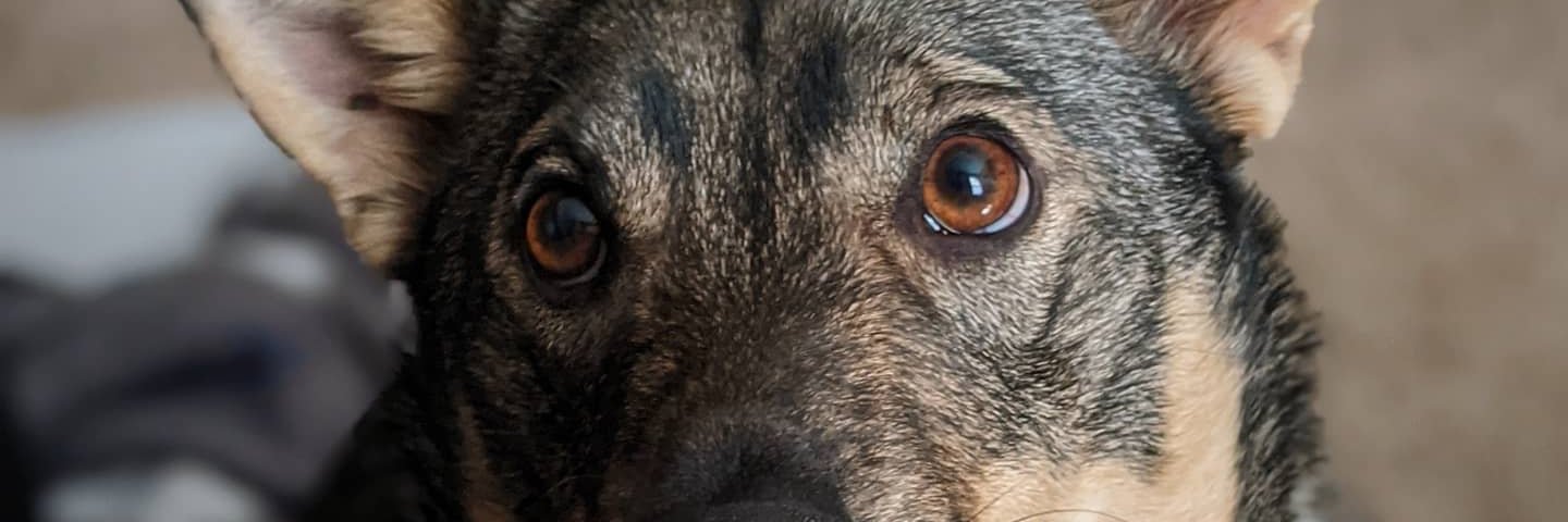 Smurfinablender's profile banner image