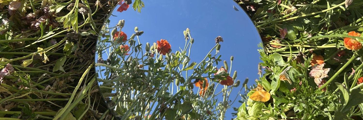 mere☀︎︎ banner