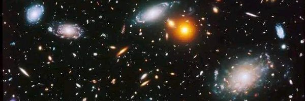 AFIRST2024 Profile Banner