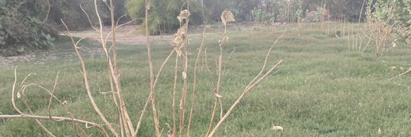 tarq_p Profile Banner