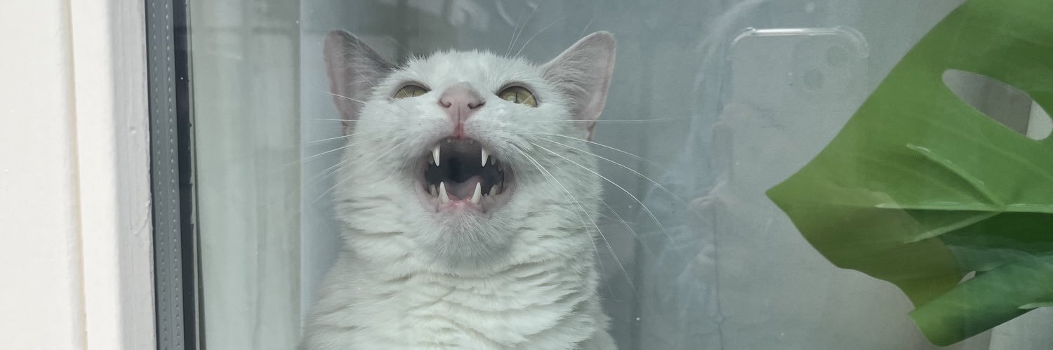 Pablo banner