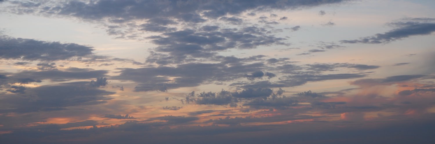 TheRealRousie's profile banner image