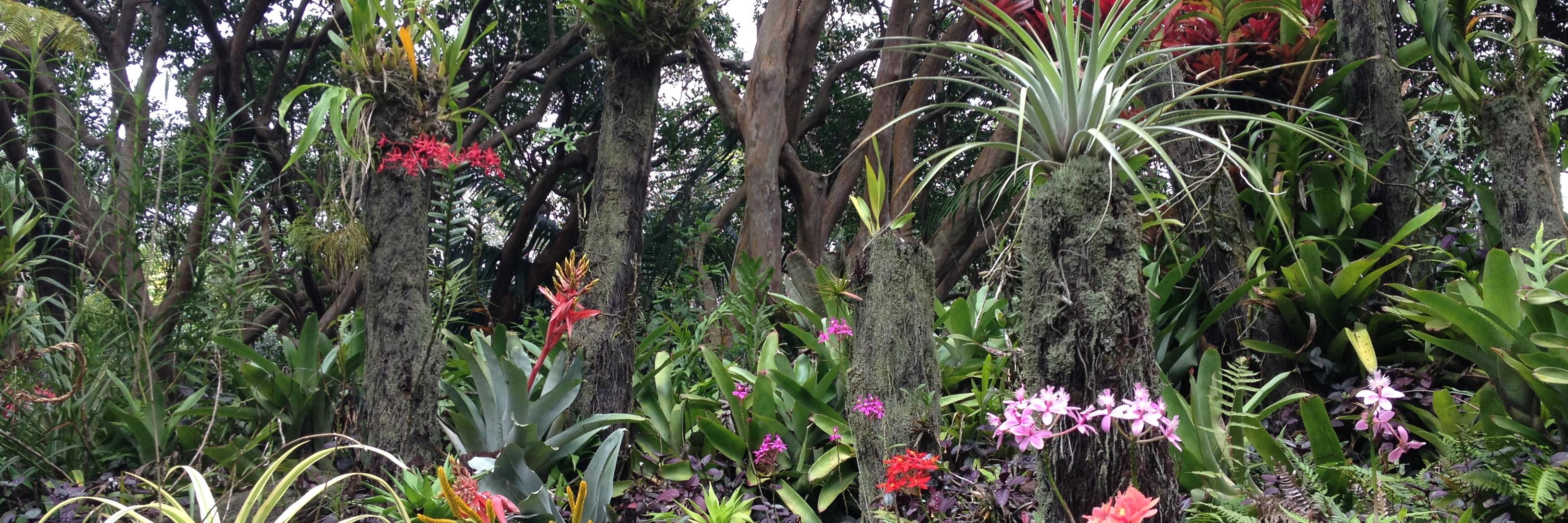 HIBotanicGarden's profile banner image