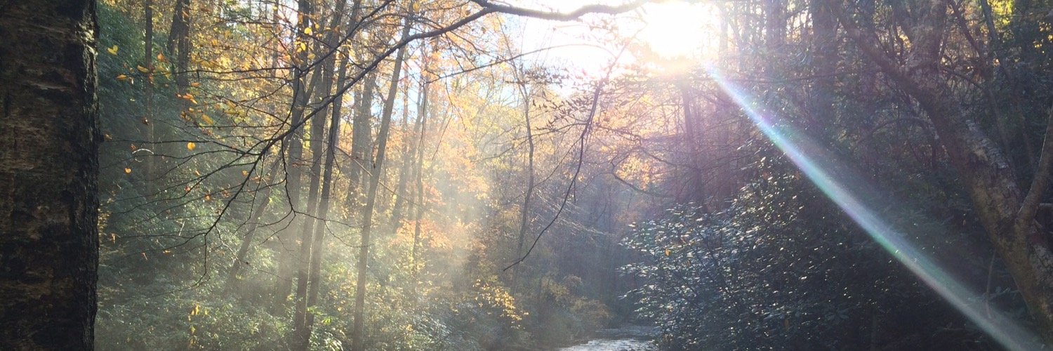 ipiphanist's profile banner image