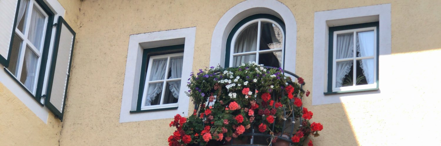 しまっち🐦🎻 banner