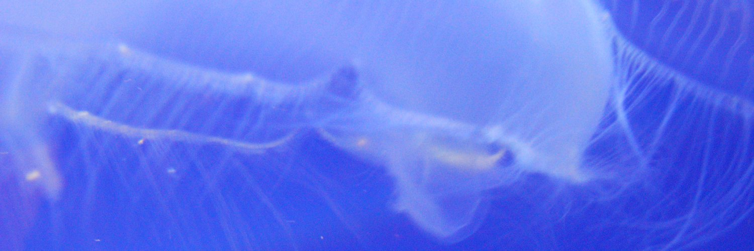 Flo Fflach 😷 love thy neighbour 🧡 banner