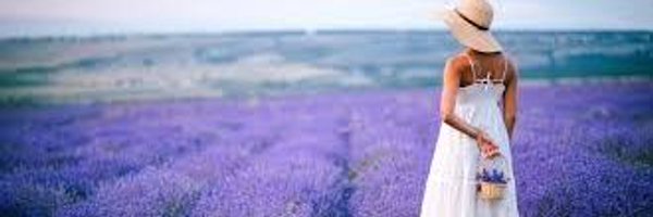_Vivi2013 Profile Banner