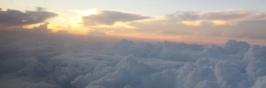 eliiana_gr's profile banner image