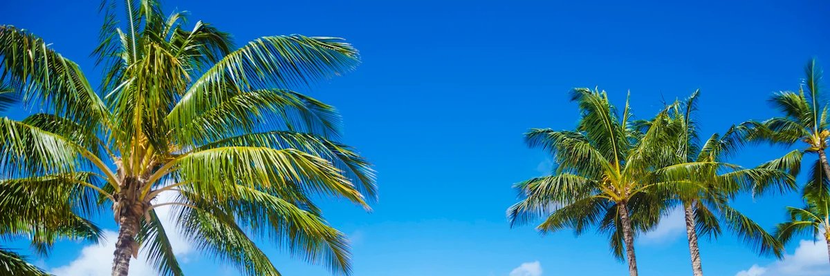 kmetral's profile banner image