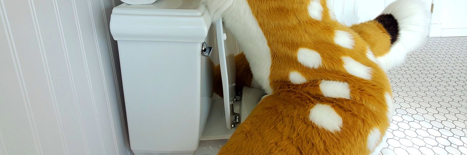 deer diary 🐴 @lvfc(?) banner