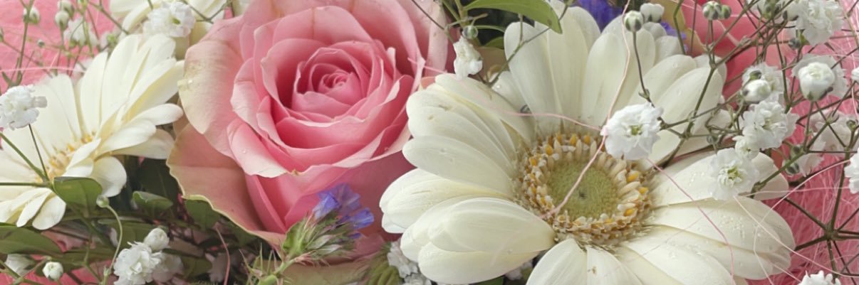 Meli_ss_aah's profile banner image