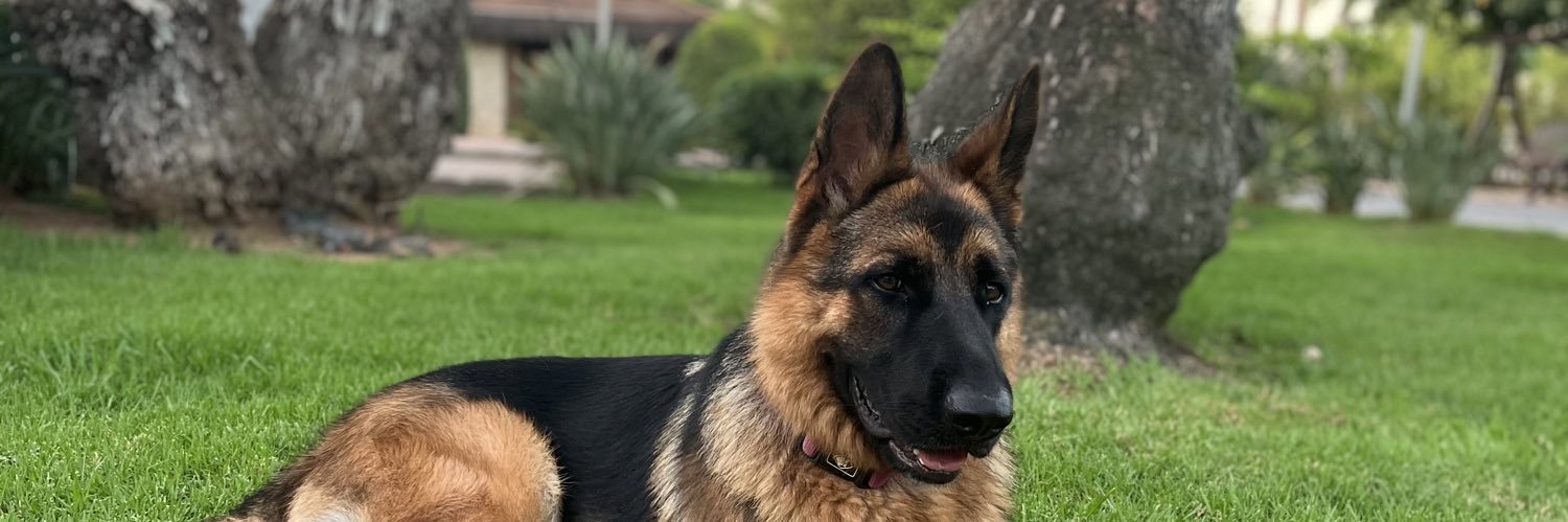 WellLooks's profile banner image