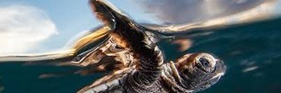 tiloni9011's profile banner image