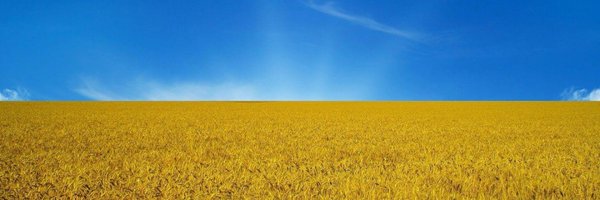 UkrainianMath Profile Banner