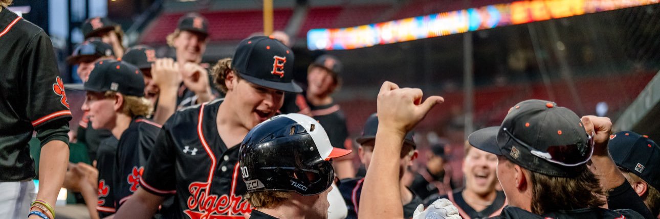 baseballofthewise banner