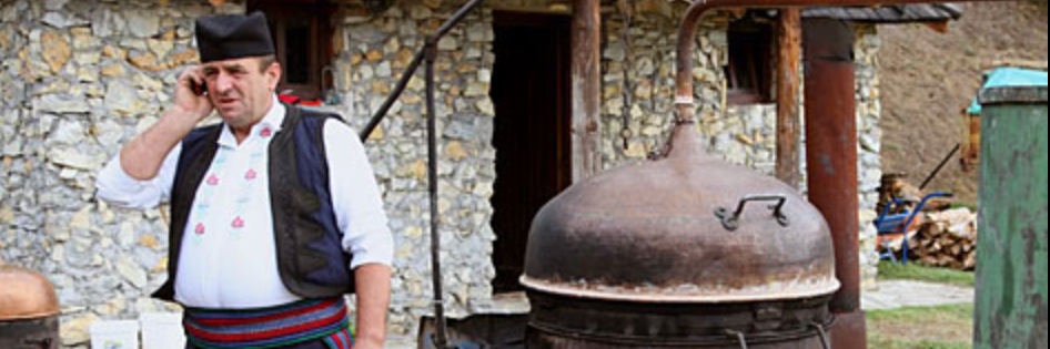 Stan's Rakija (Burleigh Tea) banner